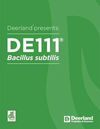 DE111 Bacillus subtilis Brochure