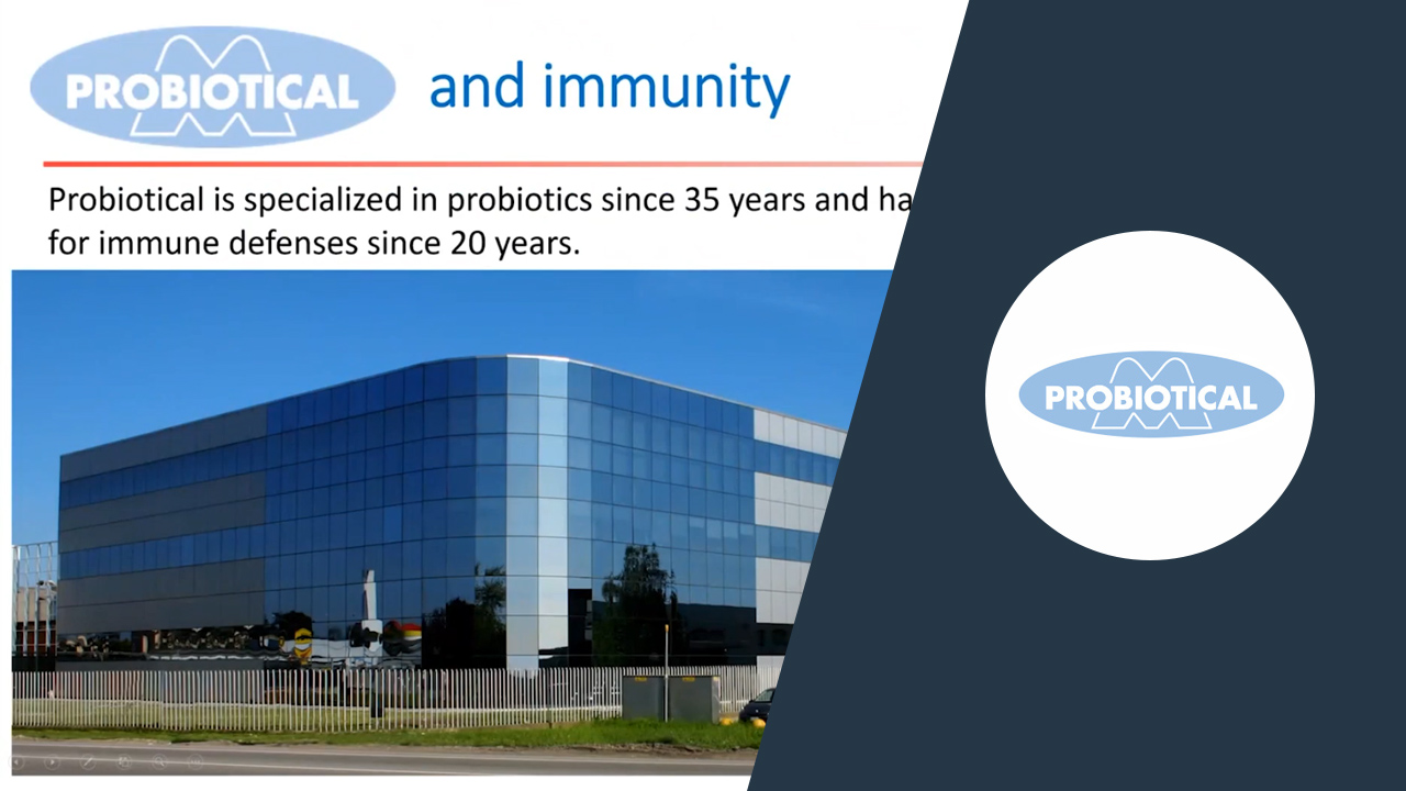 Probiotical and Immunity